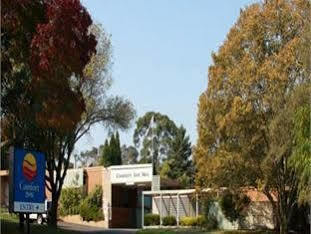 Motel Parklands 3*